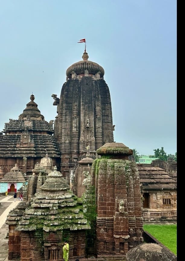 whatsapp image 2026 02 08 at 12.19.41 am (1)